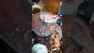 Amazing  Coral fish  cutting ll🐬🔥 #shorts #short_video #youtube #youtubeshorts