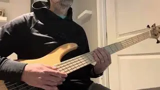 Intervals - chronophobia (Bass Cover)