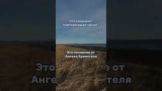 Что означают повторяющие цифры? 13:13, 16:16 и т.д #матрицасудьбы #нумерология #нумерологиярождения