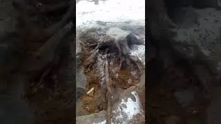 hand digging 8' deep fire pit in January part VI
