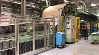 Agnati Gluer and Double Backer