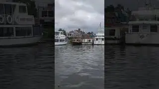 Boats on the Broads. #youtubeshorts #shorts #boats #mickeymouse #wavenyprincess #rivertours