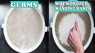 Pepper and Water Science Trick.