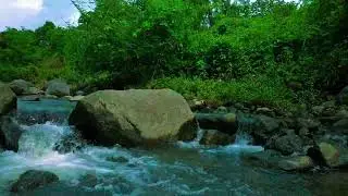 Natural White Noise: 1 Hour Flowing River for Focus, Studying, and Work