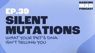 Silent Mutations: What Your Pet&rsquo;s DNA Isn&rsquo;t Telling You