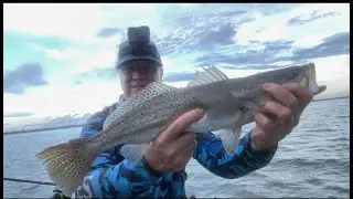 Gator Trout
