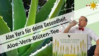 Der Winter-Tee aus der Aloe-Vera-Bl&uuml;te und Kr&auml;utern.