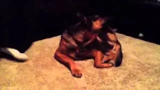 Toddre Stripping for the Camera