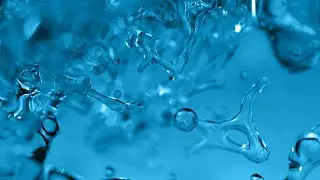 LEAP 03 / Reduce environmental impact of agriculture | Leaps by Bayer