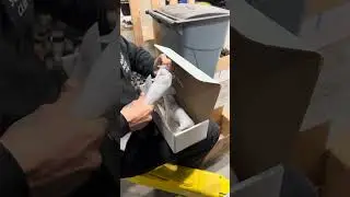 Removing Harley Davidson neck / steering bearing cups. The right way. 