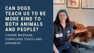 Canine massage, conscious touch and kindness.