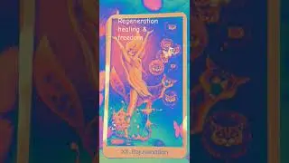 rebirth renewal & regeneration #freedom #risingabove #spiritual #perspective #tarot #irisrainbow #xx
