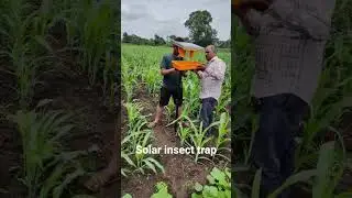 solar insect trap  for chemical free farming, #garlicprice , #solartrap,#solarinsecttrap