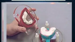 DVA Model System Working Cast & Dies صب المقاس للشغل