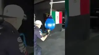 entreno al costal 🥊🦍 #boxingworkout #trainingworkout #training