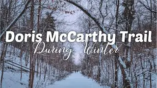 Doris McCarthy Trail | During Winter
