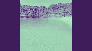 Sparkling Ambience for Memory Rest