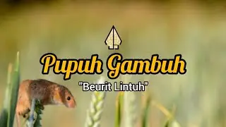 PUPUH GAMBUH | LIRIK
