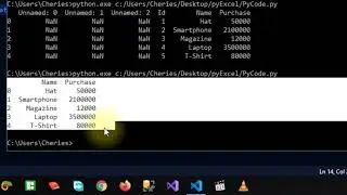 Excel Data Analysis dengan menggunakan Python