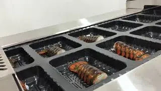 VC999 p459 thermoform skin packaging fresh seafood lobster tails