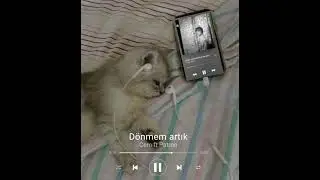 Dönmem artık speed up