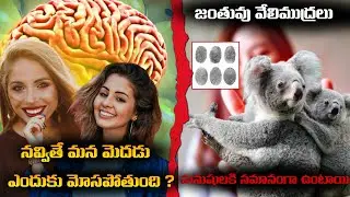 🚨 Laughing Tricks Your Brain Into Feeling Happy | Laughing Makes You Happy | Amazing Facts
