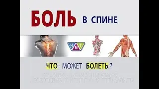 БОЛЬ в спине
