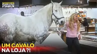 ISSO ACONTECEU MESMO? | Hardcore Pawn Brazil