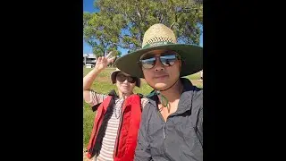 A Beautiful Day in Perth | Seal Island & Penguin Island Travel Memories