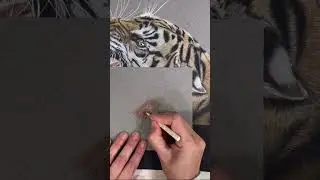 Как рисовать мех. #шорты #искусство #урок по рисованию