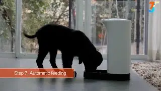 Top 10 Must Have Gadgets for Your Pets
