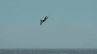 Megaloop Entry Video
