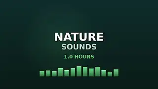 Nature Sounds for Relaxation - 1h Soothing Ambient Sounds