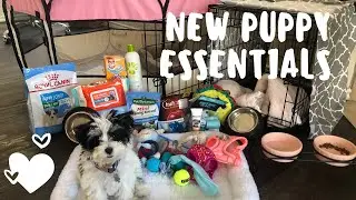 HUGE NEW PUPPY HAUL|Must-Haves for new pet owners! (Shes spoiled)