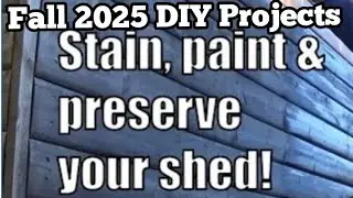 Fall 2025 Outdoor DIY Projects | I Stained My Shed 