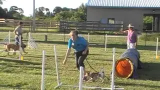 MOV03B