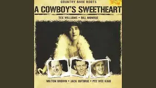 Steel Guitar Boogie