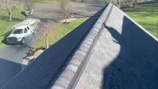 Ridge Vents Vulnerable to Bats & Other Wildlife