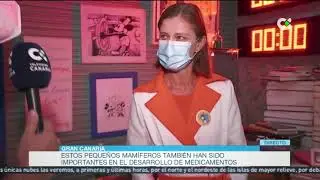 RAT&Oacute;N P&Eacute;REZ Y EL ELDER | Buenos d&iacute;as Canarias