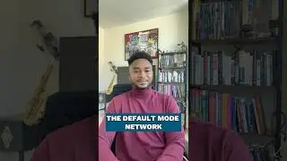 The Default Mode Network and its Link to Psychedelic Therapy #psychedelictherapy