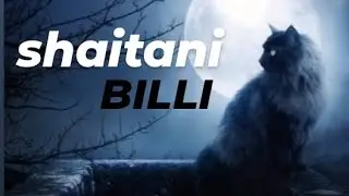 EVIL CAT☠️ horrorstory/shortstory/hindi horrorstory/#youtube #shortvideo#horrorstories#ghost #viral
