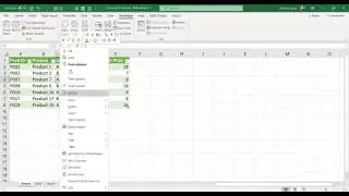 Part 3 - Filter using And Or PLUS save to New Workbook Excel VBA