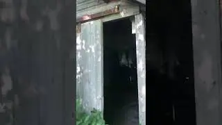 BACKWOODS USA - Abandoned Historic Poor House Farm #shorts #abandoned #urbanexploration #history