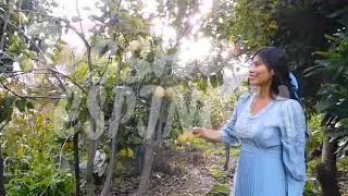Himno quechua /HANAQ PACHA