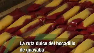 La ruta dulce del bocadillo de guayaba - TvAgro por Juan Gonzalo Angel Restrepo