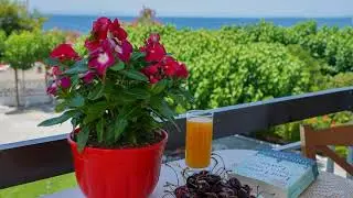Akrogiali Beach Rooms, Amarinthos, Greece