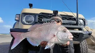 &ldquo;On The Quest For Perth&rsquo;s Finest Winter Species!&rdquo; | Perth Pink Snapper Fishing
