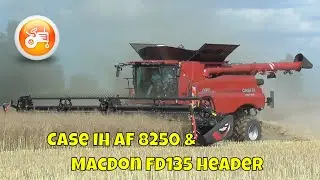 Combine Field Days 2021 | Case IH Axial Flow 8250 with MacDon FD135 header