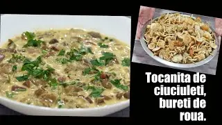 Tocanita de ciuciuleti, bureti de roua cu bacon in sos cremos si delicios.💯❤️