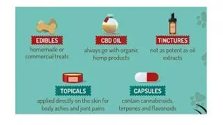 Hemp well for dogs. Hemp For Dogs